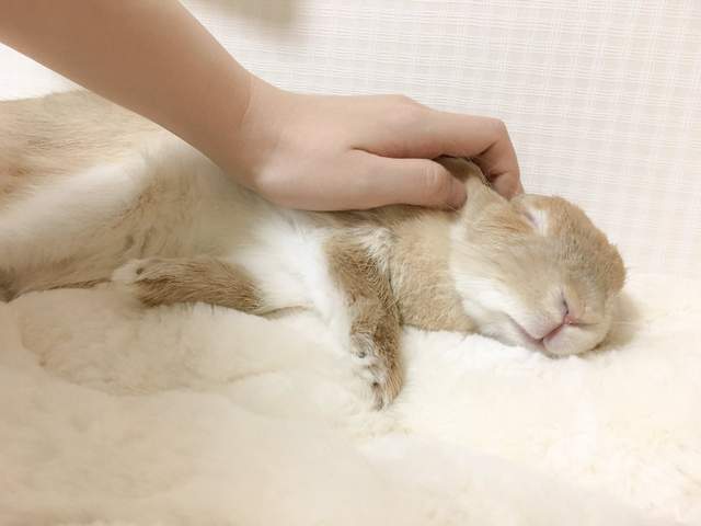 圖片5 圖片5