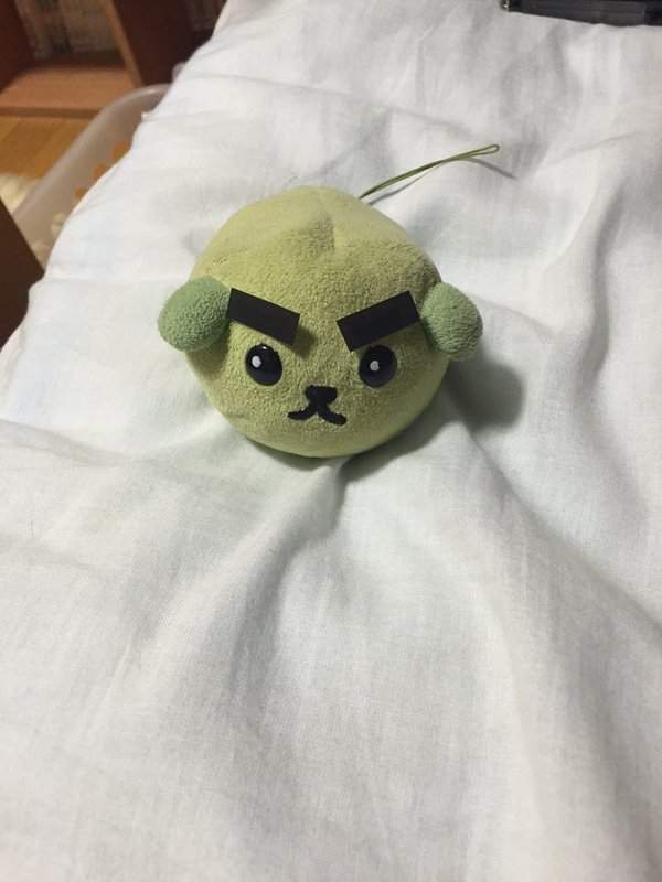 圖片13 圖片13