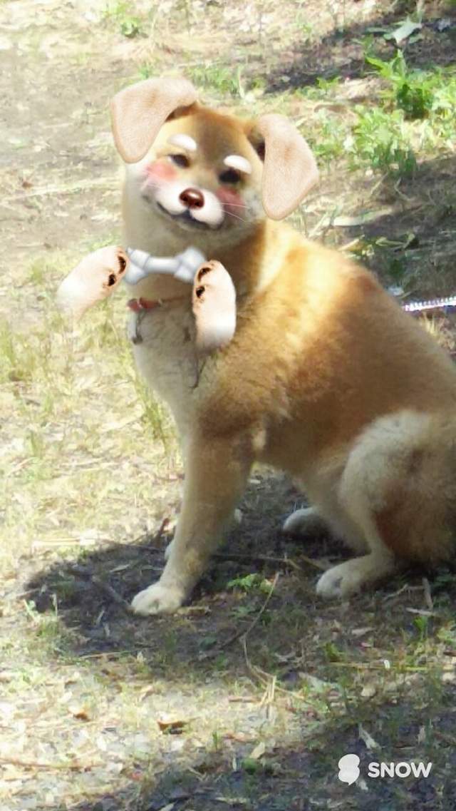 圖片4 圖片4