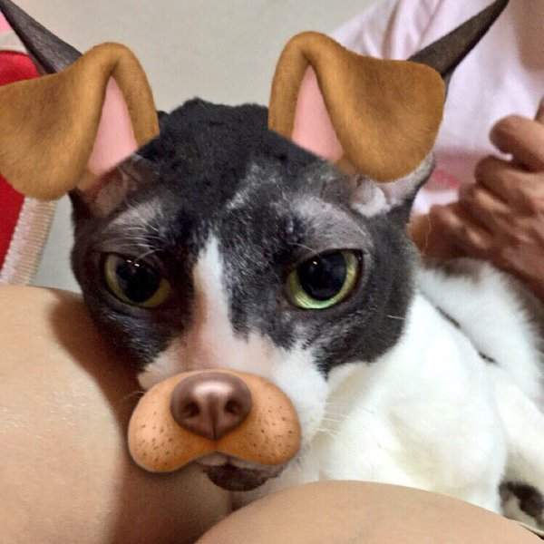 圖片9 圖片9