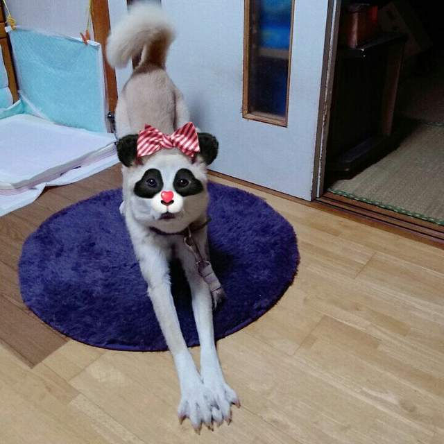 圖片11 圖片11