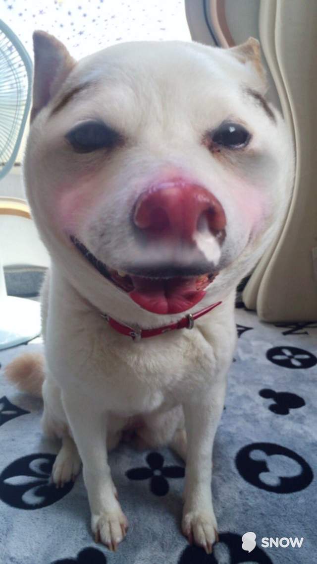 圖片10 圖片10
