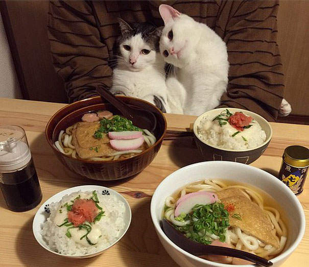 圖片9 圖片9