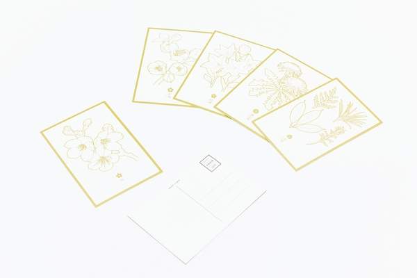 圖片10 圖片10