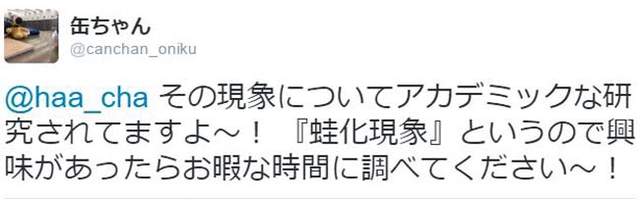 圖片4 圖片4