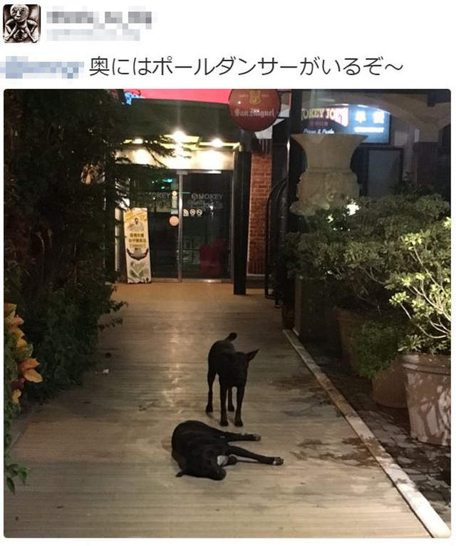 圖片11 圖片11