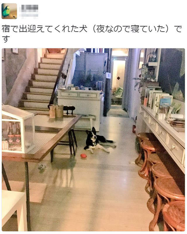 圖片12 圖片12