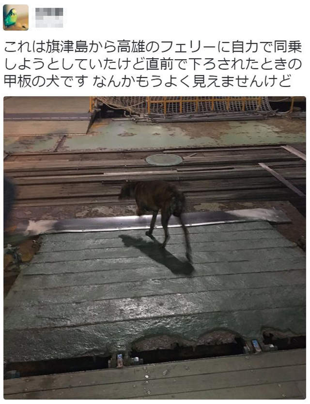 圖片13 圖片13