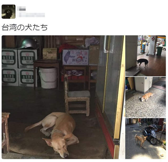 圖片14 圖片14