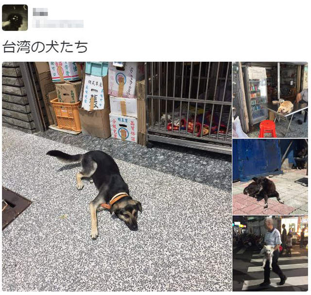 圖片15 圖片15