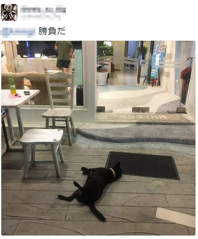 圖片5 圖片5