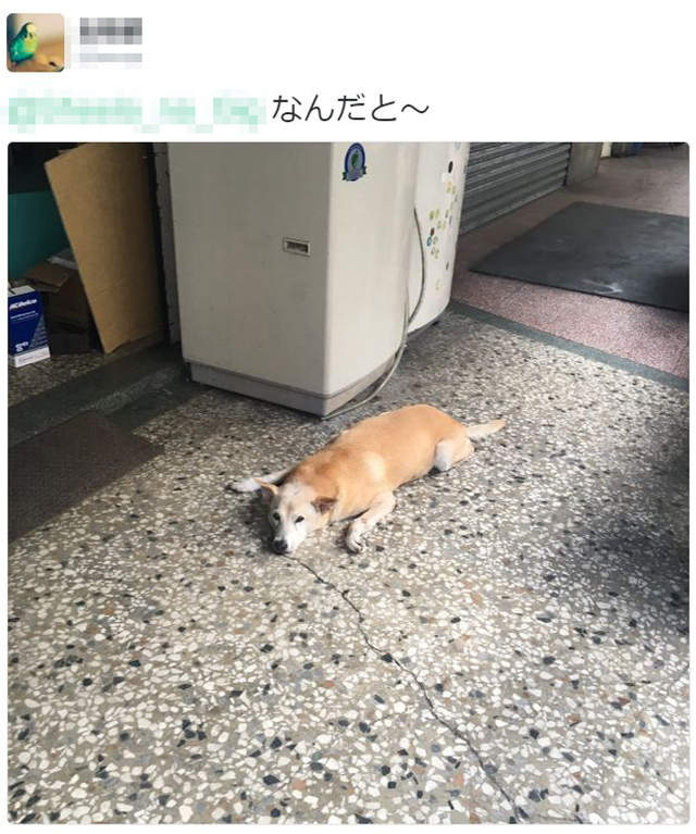 圖片6 圖片6