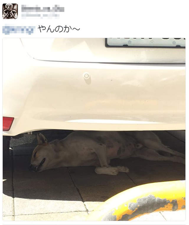 圖片7 圖片7