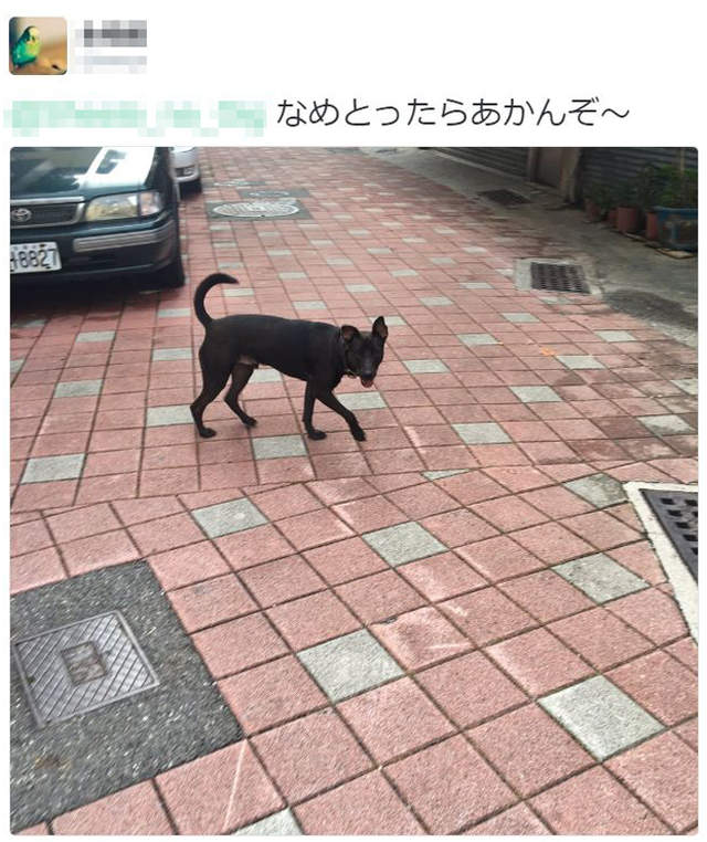 圖片8 圖片8