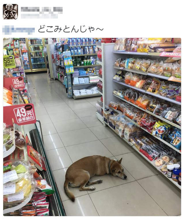 圖片9 圖片9