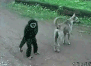 圖片4 圖片4