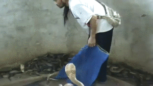 圖片9 圖片9