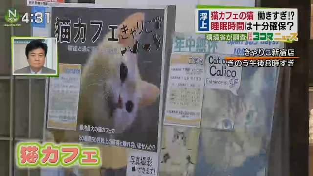 圖片4 圖片4