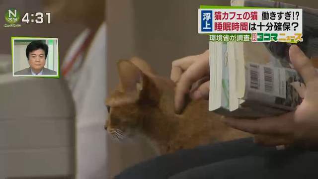 圖片5 圖片5