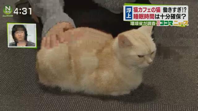 圖片6 圖片6