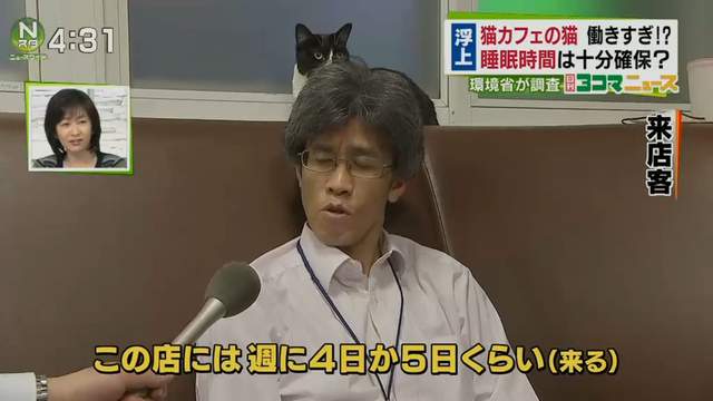 圖片7 圖片7