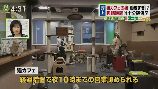 圖片10 圖片10
