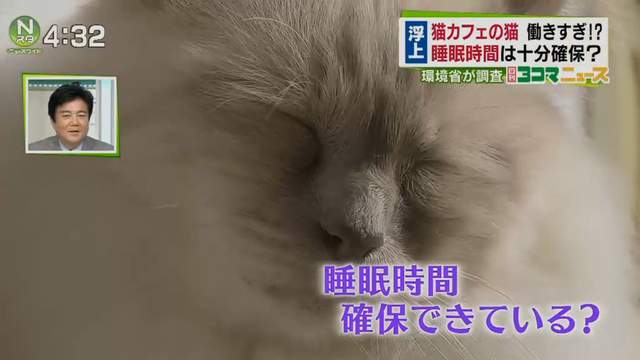 圖片11 圖片11