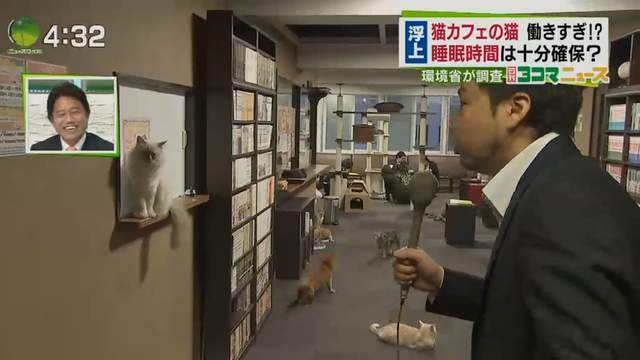 圖片12 圖片12