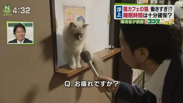 圖片13 圖片13