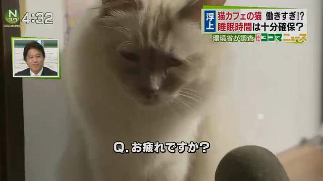 圖片14 圖片14