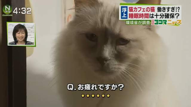 圖片15 圖片15