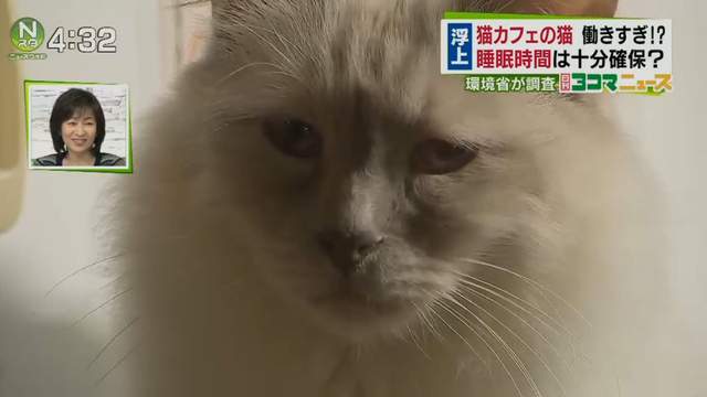 圖片16 圖片16