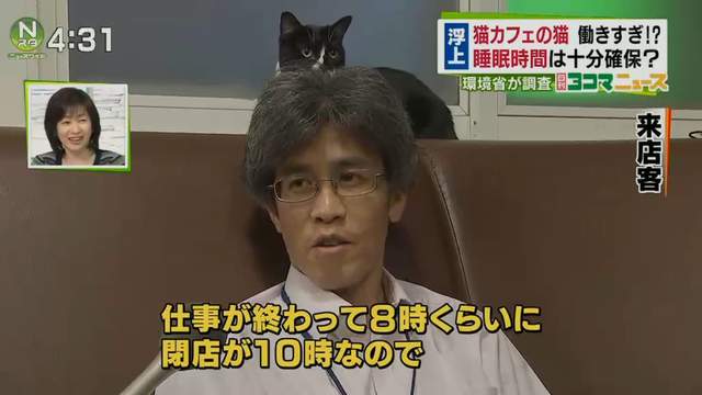 圖片8 圖片8