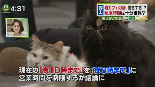 圖片9 圖片9
