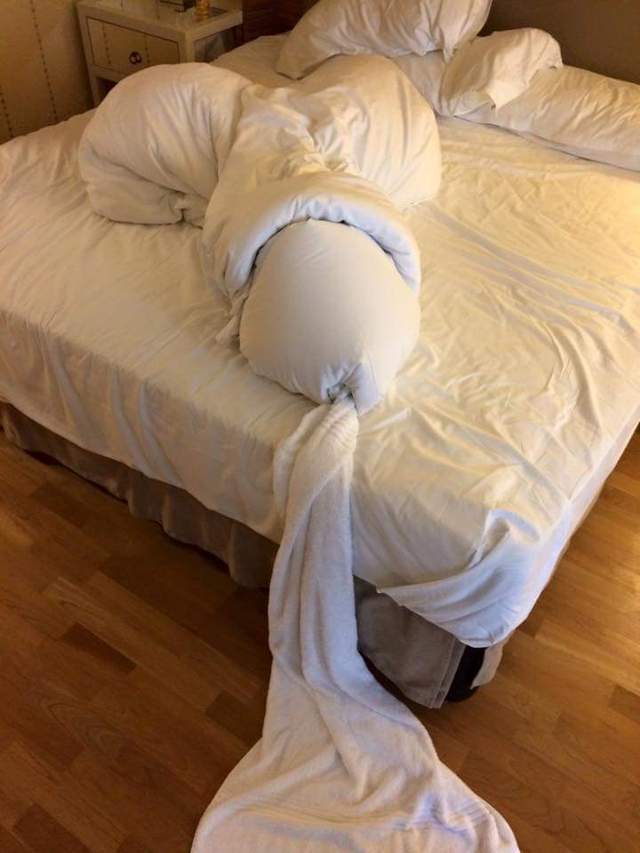 圖片6 圖片6