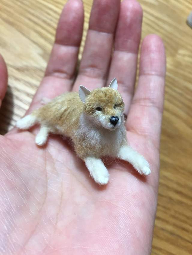 圖片5 圖片5