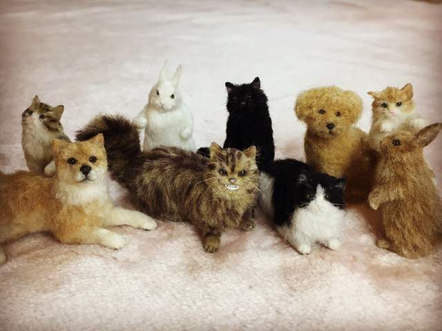 圖片30 圖片30