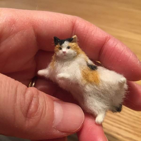 圖片9 圖片9