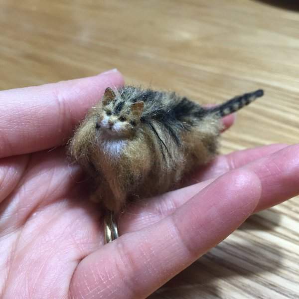 圖片17 圖片17
