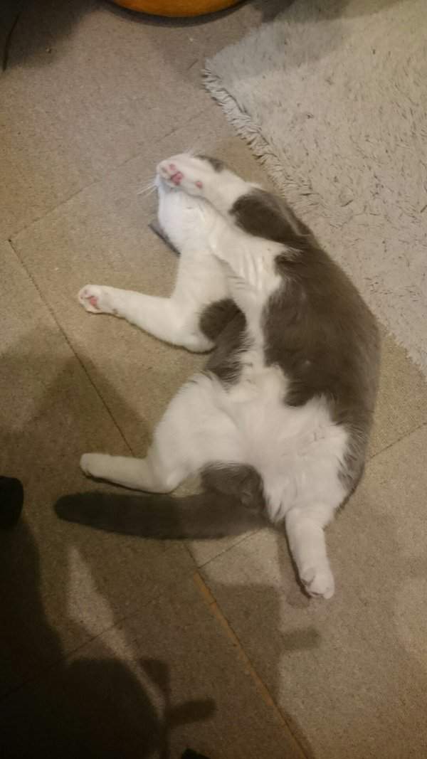 圖片9 圖片9
