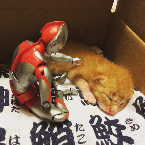 圖片17 圖片17