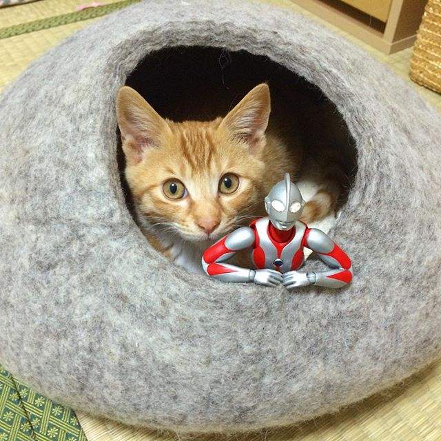 圖片4 圖片4