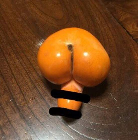 圖片8 圖片8