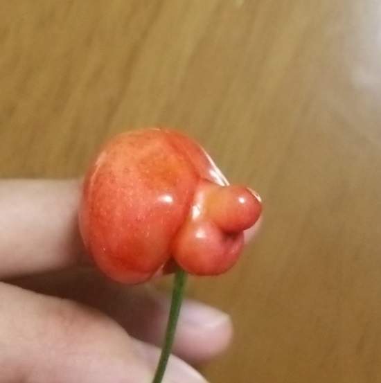 圖片10 圖片10