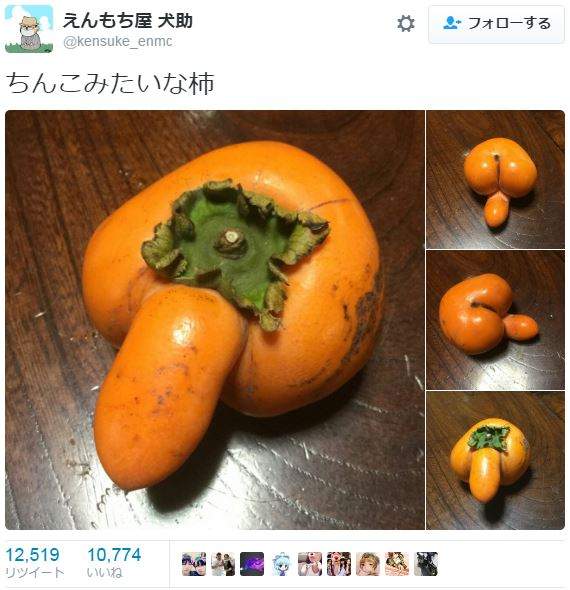 長得像小雞雞的柿子 莫名在推特上開始了猥褻蔬果的照片交流大會www