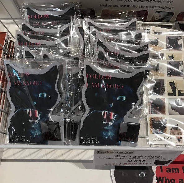 圖片12 圖片12