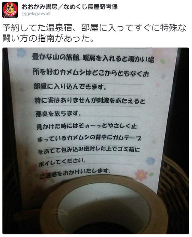 圖片5 圖片5