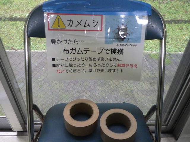圖片7 圖片7