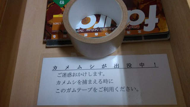 圖片6 圖片6