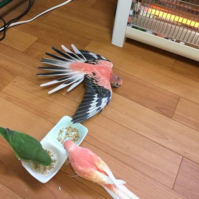 圖片4 圖片4